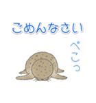 1年中使える♪海の生き物の優しい毎日（個別スタンプ：31）