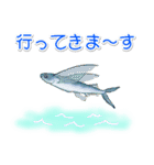 1年中使える♪海の生き物の優しい毎日（個別スタンプ：37）
