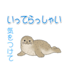 1年中使える♪海の生き物の優しい毎日（個別スタンプ：38）