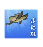 1年中使える♪海の生き物の優しい毎日（個別スタンプ：40）