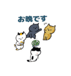 日本猫の夏 よく使う日常会話スタンプ（個別スタンプ：7）