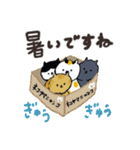 日本猫の夏 よく使う日常会話スタンプ（個別スタンプ：11）