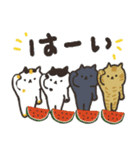 日本猫の夏 よく使う日常会話スタンプ（個別スタンプ：17）