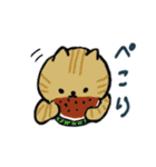 日本猫の夏 よく使う日常会話スタンプ（個別スタンプ：20）