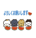 日本猫の夏 よく使う日常会話スタンプ（個別スタンプ：21）
