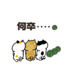 日本猫の夏 よく使う日常会話スタンプ（個別スタンプ：22）