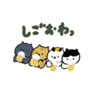 日本猫の夏 よく使う日常会話スタンプ（個別スタンプ：24）