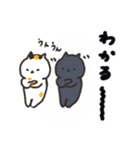 日本猫の夏 よく使う日常会話スタンプ（個別スタンプ：28）