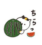 日本猫の夏 よく使う日常会話スタンプ（個別スタンプ：30）