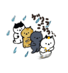 日本猫の夏 よく使う日常会話スタンプ（個別スタンプ：35）