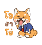 小さな柴犬 とてもかわいい子犬です（個別スタンプ：1）