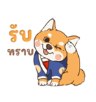 小さな柴犬 とてもかわいい子犬です（個別スタンプ：3）