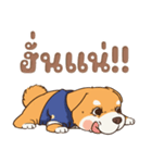小さな柴犬 とてもかわいい子犬です（個別スタンプ：5）