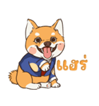 小さな柴犬 とてもかわいい子犬です（個別スタンプ：6）