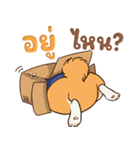 小さな柴犬 とてもかわいい子犬です（個別スタンプ：7）