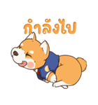 小さな柴犬 とてもかわいい子犬です（個別スタンプ：8）