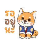 小さな柴犬 とてもかわいい子犬です（個別スタンプ：9）
