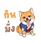 小さな柴犬 とてもかわいい子犬です（個別スタンプ：10）