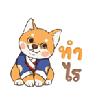 小さな柴犬 とてもかわいい子犬です（個別スタンプ：12）