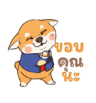 小さな柴犬 とてもかわいい子犬です（個別スタンプ：13）