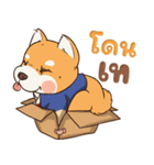 小さな柴犬 とてもかわいい子犬です（個別スタンプ：18）
