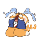 小さな柴犬 とてもかわいい子犬です（個別スタンプ：19）