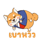 小さな柴犬 とてもかわいい子犬です（個別スタンプ：20）