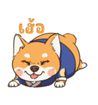 小さな柴犬 とてもかわいい子犬です（個別スタンプ：21）
