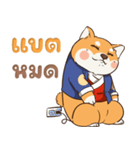 小さな柴犬 とてもかわいい子犬です（個別スタンプ：23）