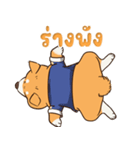 小さな柴犬 とてもかわいい子犬です（個別スタンプ：24）