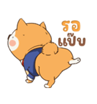 小さな柴犬 とてもかわいい子犬です（個別スタンプ：25）