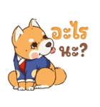 小さな柴犬 とてもかわいい子犬です（個別スタンプ：26）