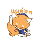 小さな柴犬 とてもかわいい子犬です（個別スタンプ：27）