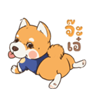 小さな柴犬 とてもかわいい子犬です（個別スタンプ：29）