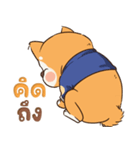 小さな柴犬 とてもかわいい子犬です（個別スタンプ：30）