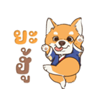 小さな柴犬 とてもかわいい子犬です（個別スタンプ：32）