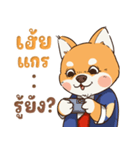 小さな柴犬 とてもかわいい子犬です（個別スタンプ：33）