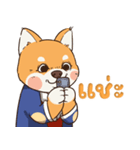 小さな柴犬 とてもかわいい子犬です（個別スタンプ：34）