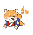 小さな柴犬 とてもかわいい子犬です（個別スタンプ：35）