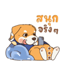 小さな柴犬 とてもかわいい子犬です（個別スタンプ：36）