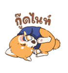 小さな柴犬 とてもかわいい子犬です（個別スタンプ：39）