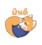 小さな柴犬 とてもかわいい子犬です（個別スタンプ：40）