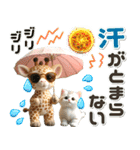 夏 猛暑 酷暑♡キリンとネコ（個別スタンプ：20）