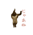 カブトムシ様のスタンプ（個別スタンプ：24）