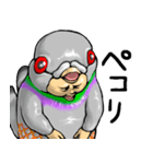 はとぐるみ_ver1（個別スタンプ：19）