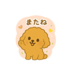 プードル 日本語＆韓国語（個別スタンプ：1）