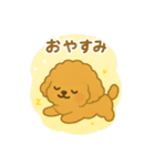 プードル 日本語＆韓国語（個別スタンプ：2）
