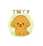 プードル 日本語＆韓国語（個別スタンプ：4）
