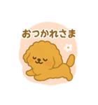 プードル 日本語＆韓国語（個別スタンプ：5）