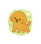 プードル 日本語＆韓国語（個別スタンプ：6）